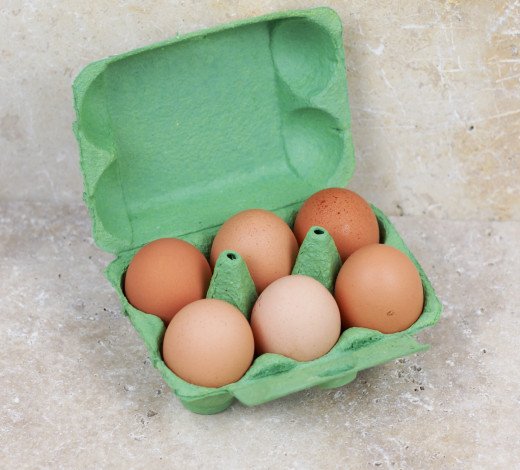 oeufx6 poules pleine air