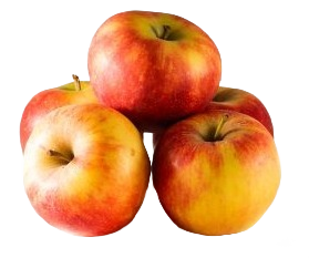 Pommes Elstar Française