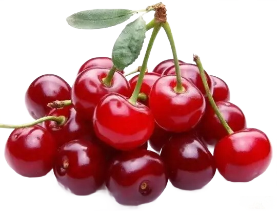 Cerises francaise 28+ barquette 250gr