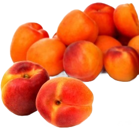 Abricot