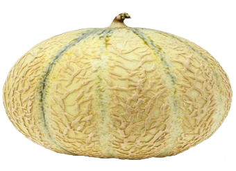 Melon