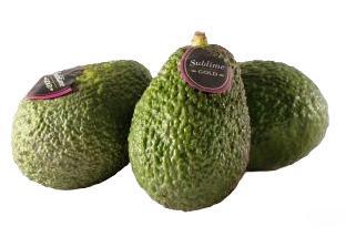 Avocat HASS