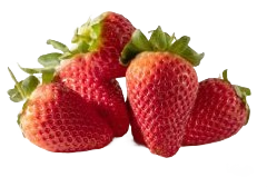 Fraises Gariguettes / 250g