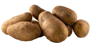 Pomme de Terre Nicolas