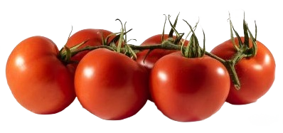 Tomate grappe bretonne