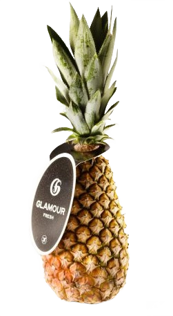 Ananas Pain De Sucre