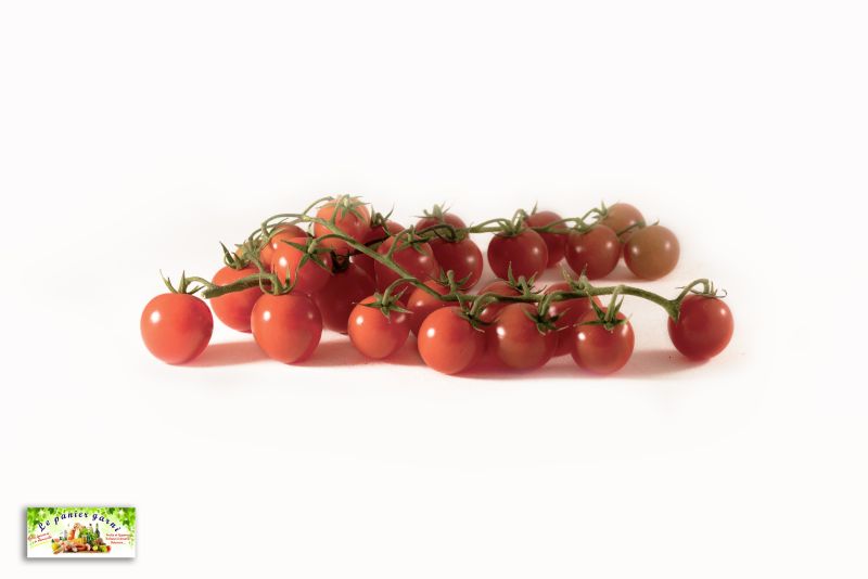 Tomates cerises bretonnes grappe