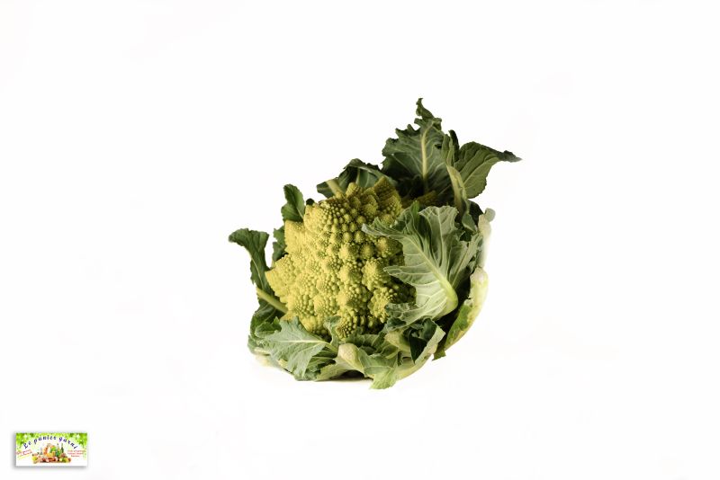 Choux romanesco